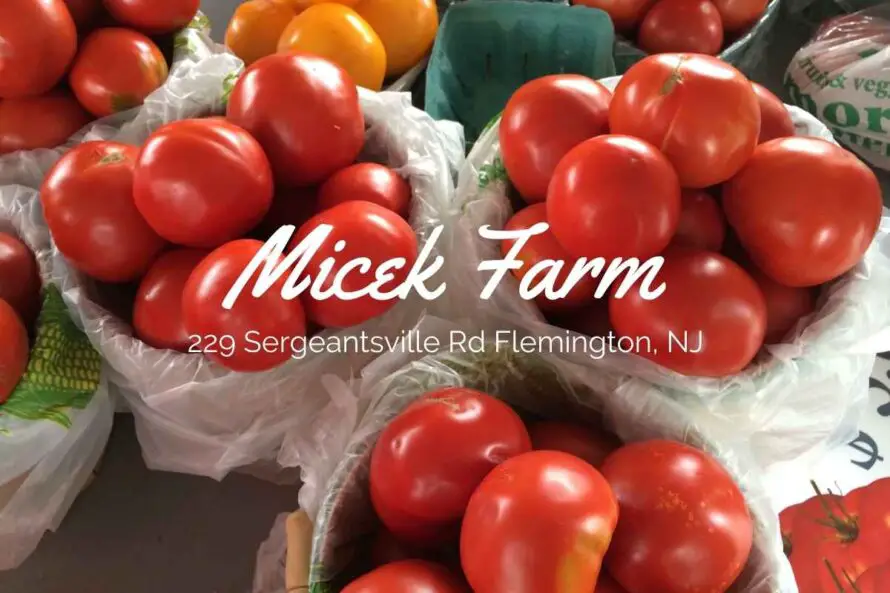 Micek Farm, NJ