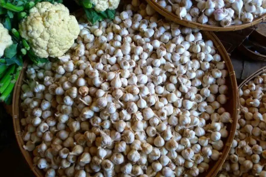 Wild garlic in Bagan Market