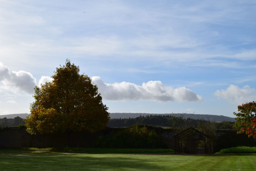 Cowdray-Park-West-Sussex-UK