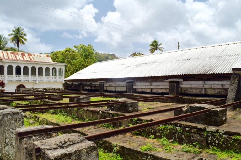 Best Bits of the Chocolate Festival in Grenada