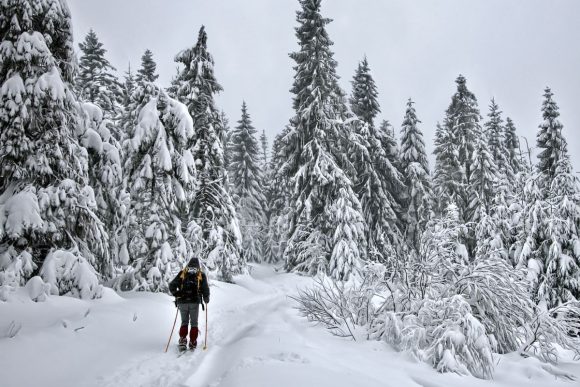 Skiing