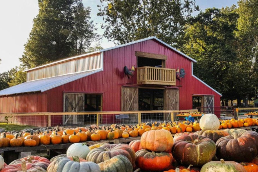 10. Pumpkin Hollow – Piggott, Arkansas.jpg