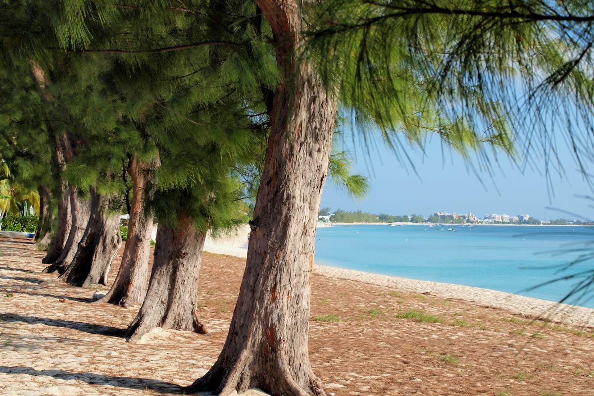 14. Seven Mile Beach, Grand Cayman by mosnell rom UNLIMPHOTOS