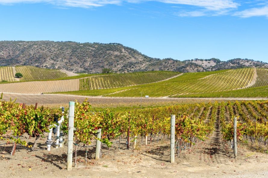 2. Napa Valley, USA by AlbertPego from Getty Images