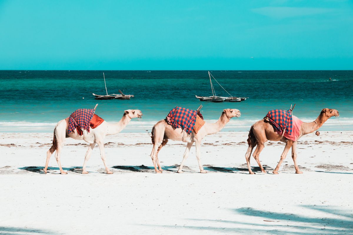 24. Diani Beach, Kenya by Weltblick from Unlimphotos