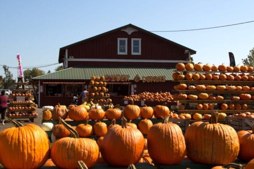 4. The Great Pumpkin Farm – Clarence, New York.jpg