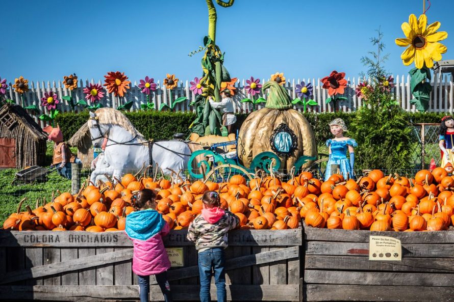 6. Linvilla Orchards – Media, Pennsylvania.jpg