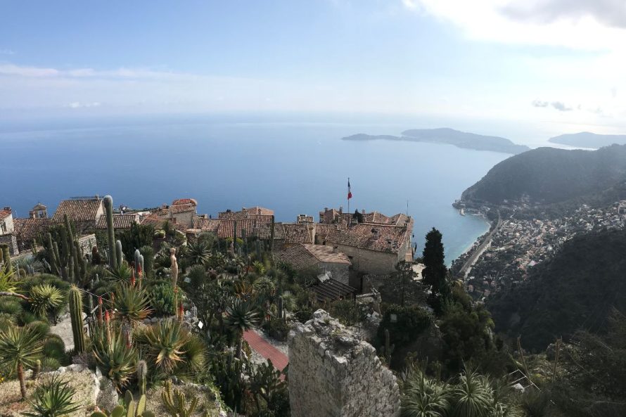 Eze P View more by 