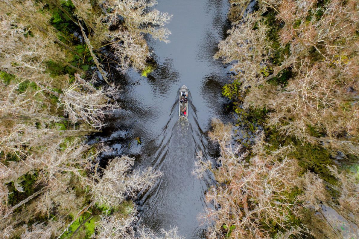 15. Caddo Lake, Texas_Louisiana Travel Texas