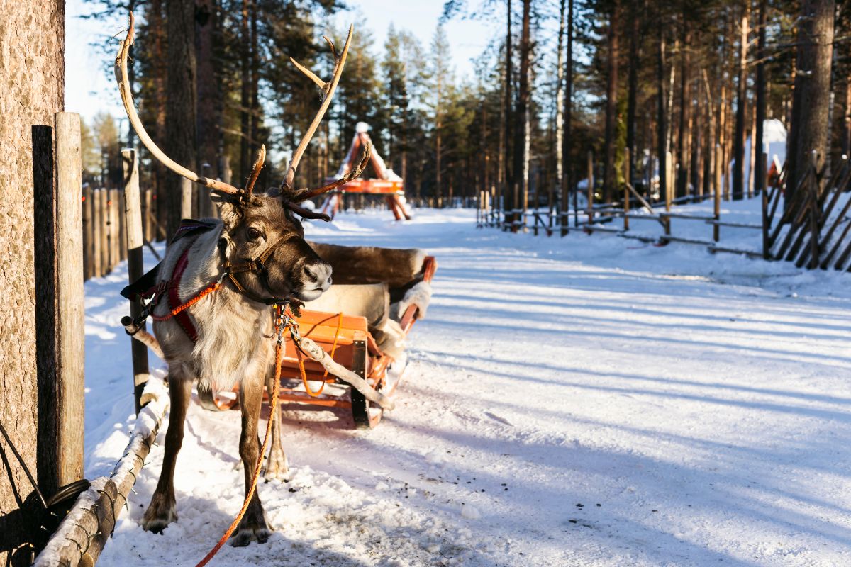 3. Lapland, Finland Image Credit_ Edyta Bartkiewicz from Getty Images