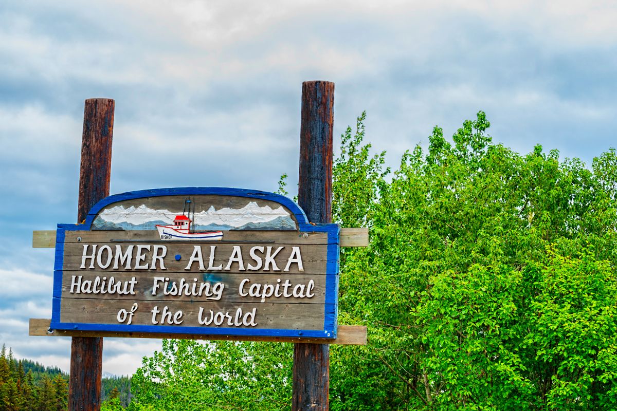 22. Homer, Alaska deebrowning from Getty Images