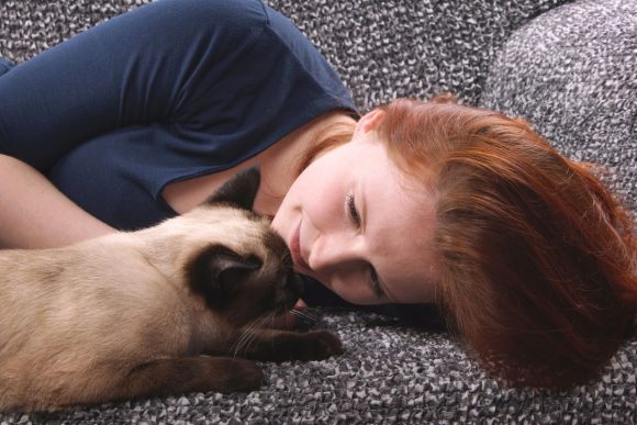 Cuddly cats