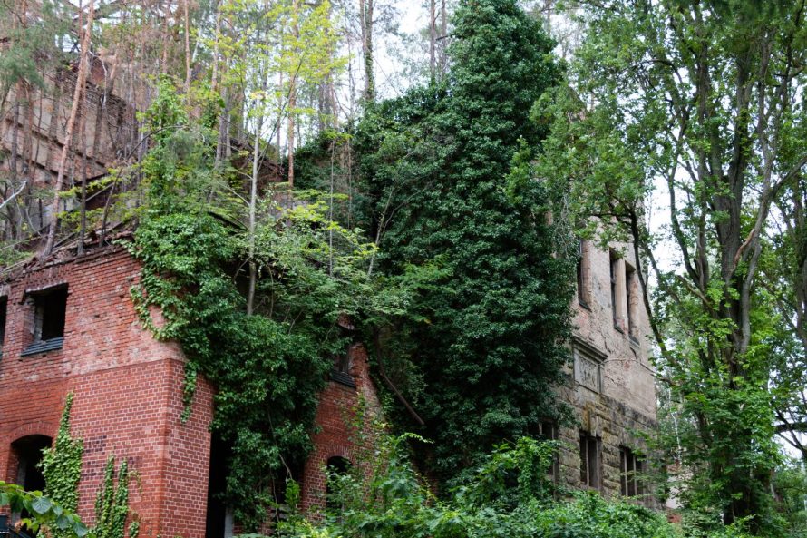 Beelitz-Heilstätten Hospital, Germany PC SebaSel from Getty Images