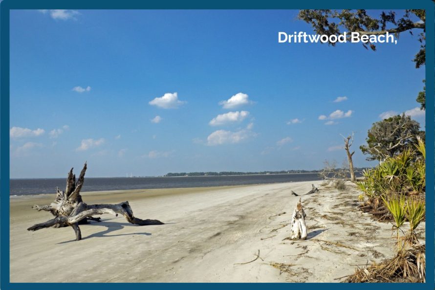 2. Driftwood Beach,
