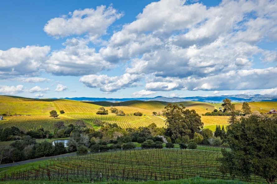 15 Silverado Trail (California) Adobe