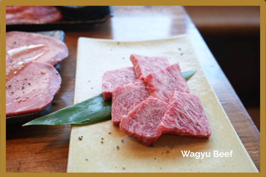 Natsumi from Natsumi