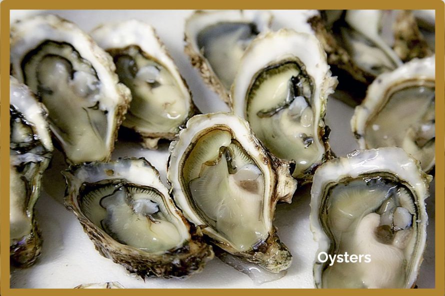 Oysters photo-graphe from pixabay