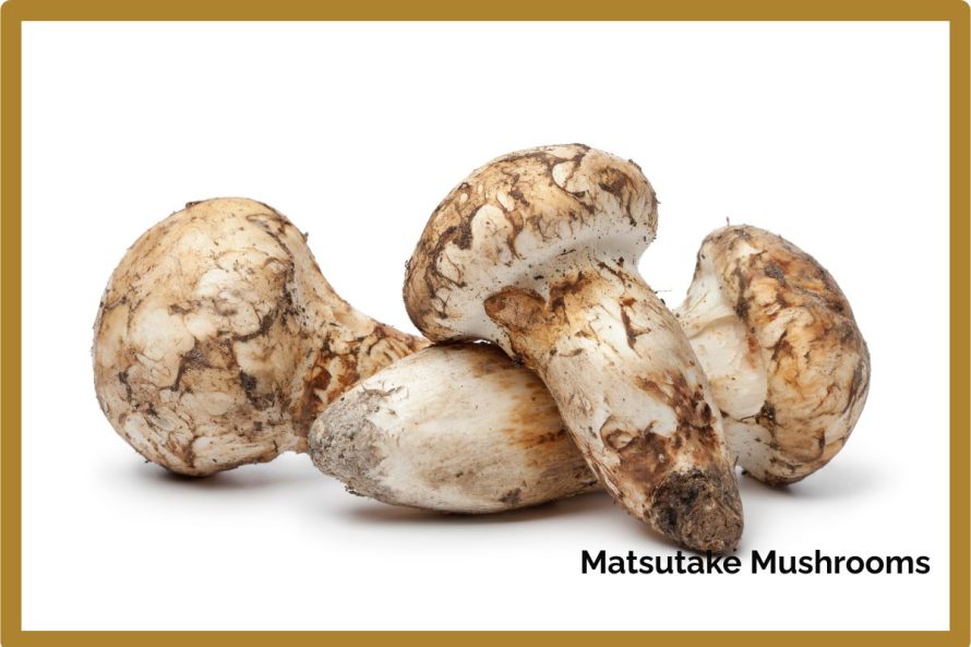 Picture Partners Adobe Stock