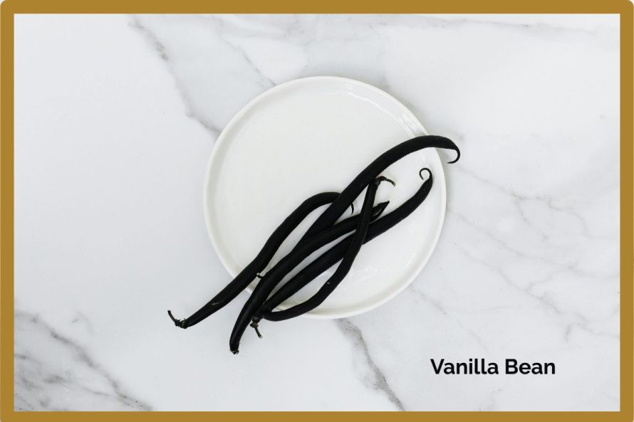 Vanilla Bean