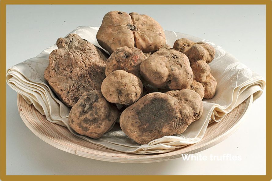 White truffles