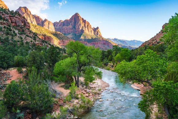 oecho-16 from Getty Images Pro