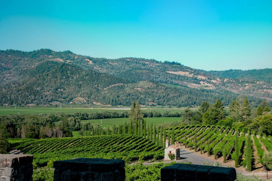 Napa Valley 